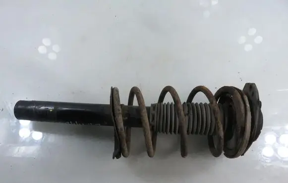 Citroen Xsara Picasso Front shock absorber with coil spring DSB264G