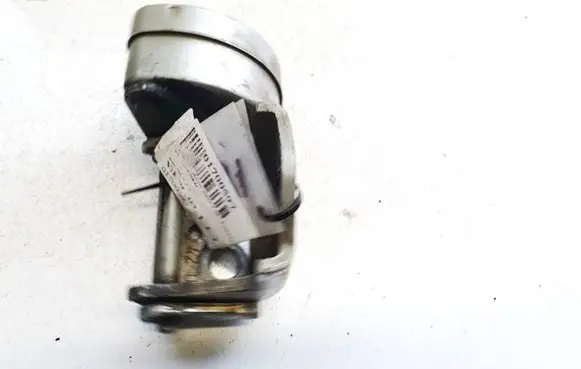 Renault Scenic II - Grand scenic II Front door upper hinge