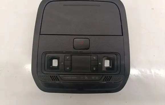 Ford Mustang Mach-E Front seat light LJ8BR519A58