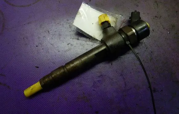 Fiat Punto (188) Fuel injector 0445110019
