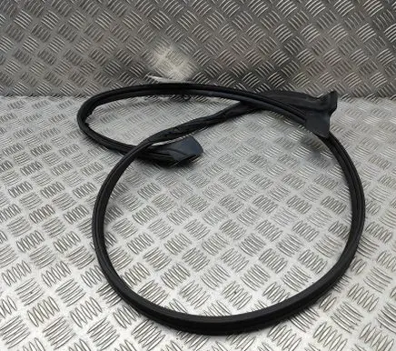 Peugeot 508 II Front door rubber seal 9813504580