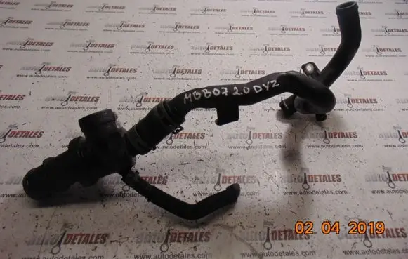 Thermostat/thermostat housing