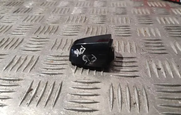 BMW X5 F15 Rear door handle cover 7304727