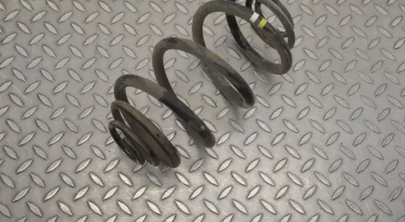 Renault Trafic III (X82) Rear coil spring