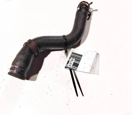 Renault Scenic I Engine coolant pipe/hose