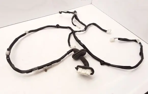 Rear door wiring loom