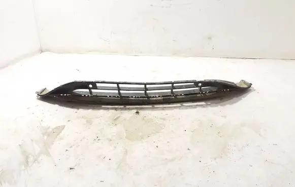 Front bumper lower grill