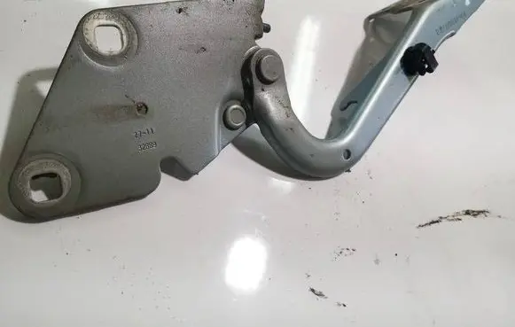 Renault Fluence Engine bonnet/hood hinges 