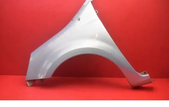 Renault Modus Fender