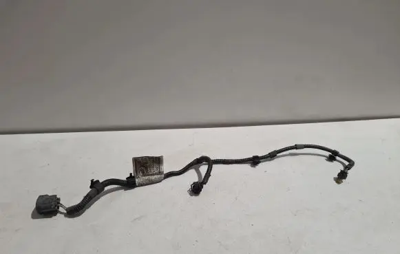 Maserati Ghibli Brake wiring harness 06700064650