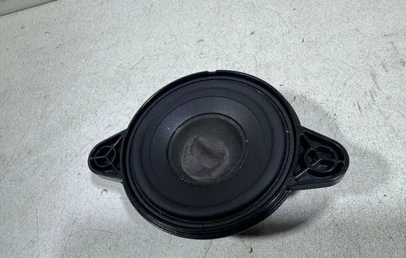 Panel speaker