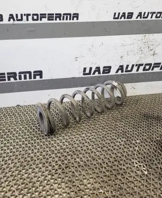 Volkswagen Tiguan Rear coil spring 5QF511115