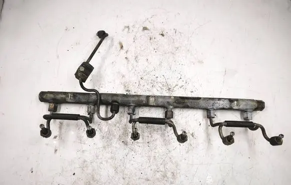 BMW 3 E46 Fuel main line pipe 0445216002