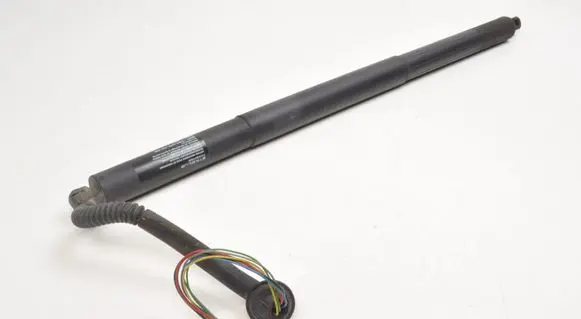 Tesla Model S Tailgate strut 600661000B