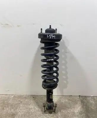 Ford F150 Front shock absorber/damper FL3418045