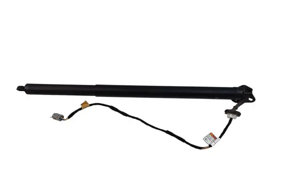 Ford Escape IV Tailgate/trunk strut/damper LJ6BS402A54 LJ6BS402A54AC 20211016