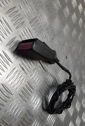 Renault Latitude (L70) Rear seatbelt buckle 888429402R