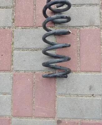 Rear coil spring