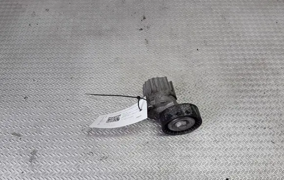Skoda Octavia Mk2 (1Z) Generator/alternator belt tensioner 038903315AJ