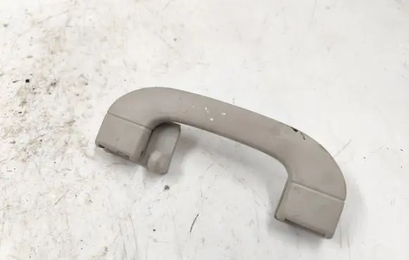 Mercedes-Benz A W169 Rear interior roof grab handle A1698100251 H3140405
