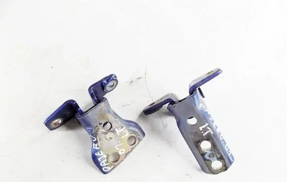 Mitsubishi Pajero Rear door hinge set 