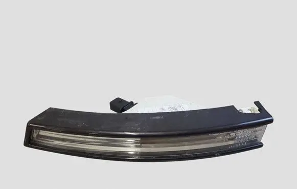 Volkswagen PASSAT B6 Front indicator light 3C0953041L