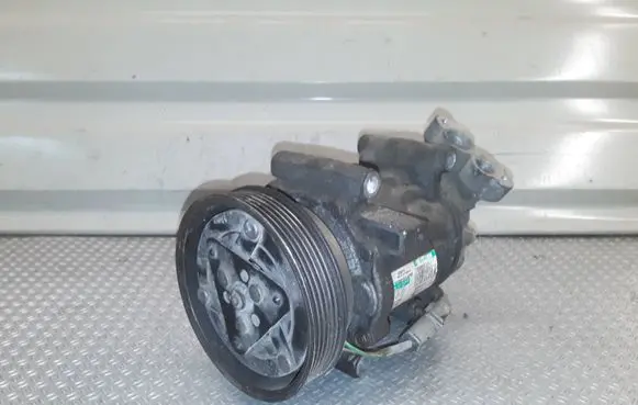 Renault Clio III Air conditioning (A/C) compressor (pump) 8200651251 05410104762