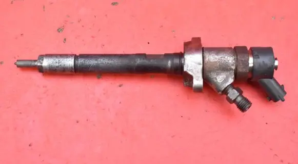Peugeot 407 Fuel injector 606680