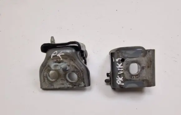 Citroen DS3 Front door hinge set A075091