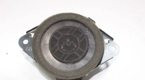 Lexus GS 250 350 300H 450H Panel speaker 861600WV80