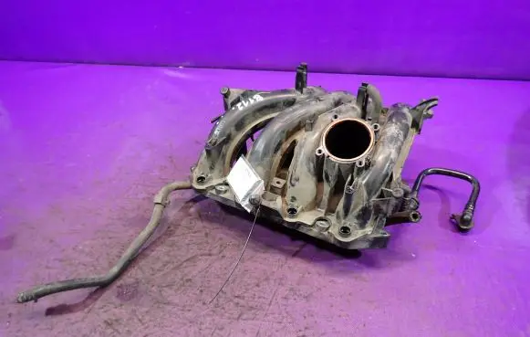 Volkswagen Golf Plus Intake manifold 036129709GT