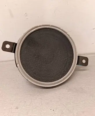 Panel speaker