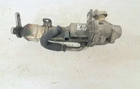 Volvo S60 EGR valve