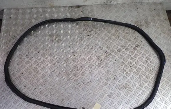 Skoda Octavia Mk4 Front door rubber seal 