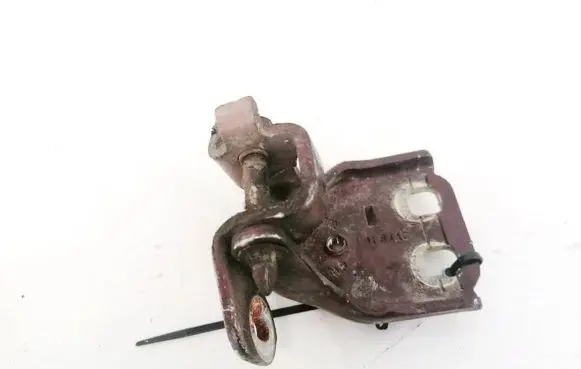 Rear door lower hinge