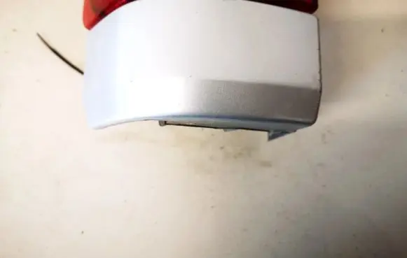 Rear/tail light trim molding