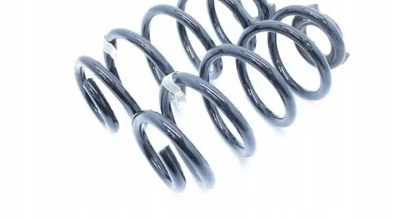 Rear coil spring
