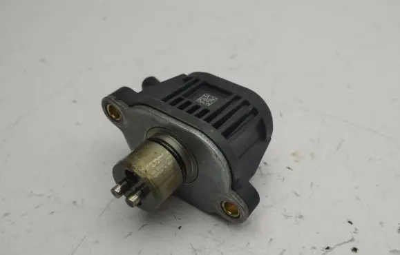 Volkswagen Golf VIII Camshaft vanos timing valve 04E906048A