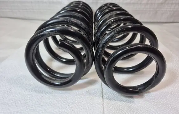 Rear coil spring