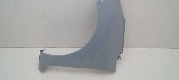 Ford Fiesta Fender C1BBA16016AA