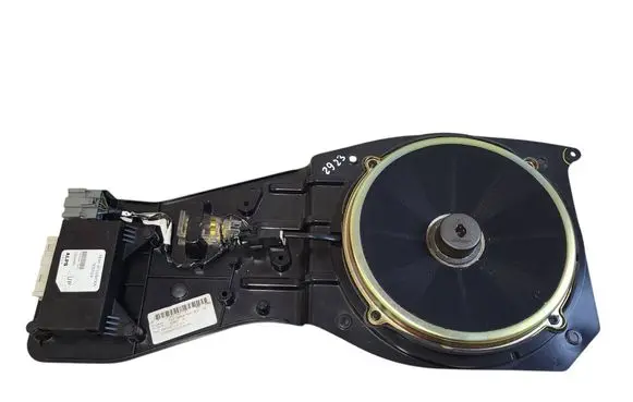 Cadillac CTS Subwoofer speaker 25684704 198019002 15278664