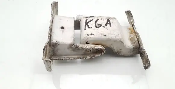 Rear door lower hinge
