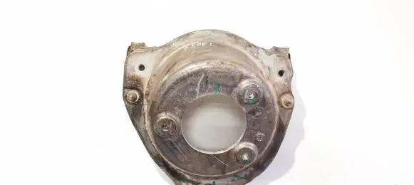 Coil spring mount