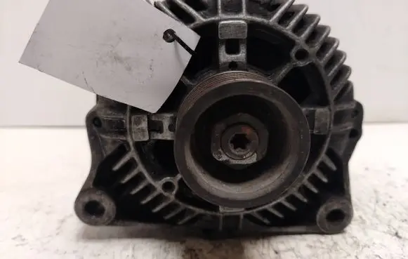 Peugeot 406 Generator/alternator 2541970A
