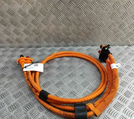 Audi E-tron GT Other wiring loom 9J1971025D