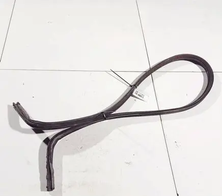 Opel Movano A Rubber seal front coupe door 