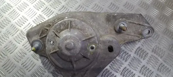 Coil spring mount
