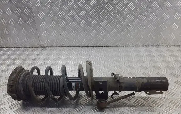 Volkswagen Polo IV 9N3 Front shock absorber/damper