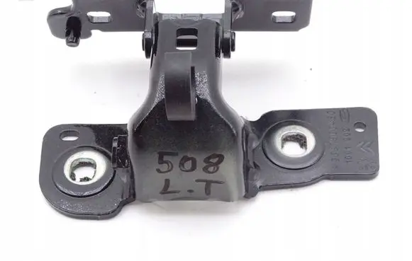 Peugeot 307 Tailgate hinge 9687860480