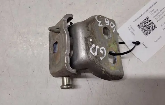 Citroen C4 I Rear door lower hinge